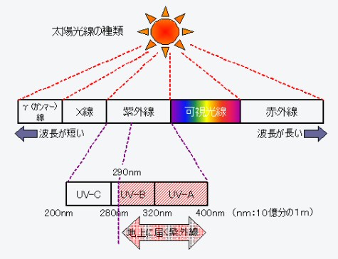 太陽光線の種類